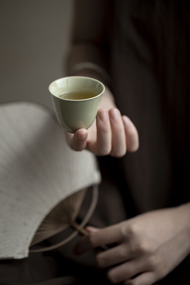 Light Green 4 cups with 1 Teapot Gift Box Tea Set