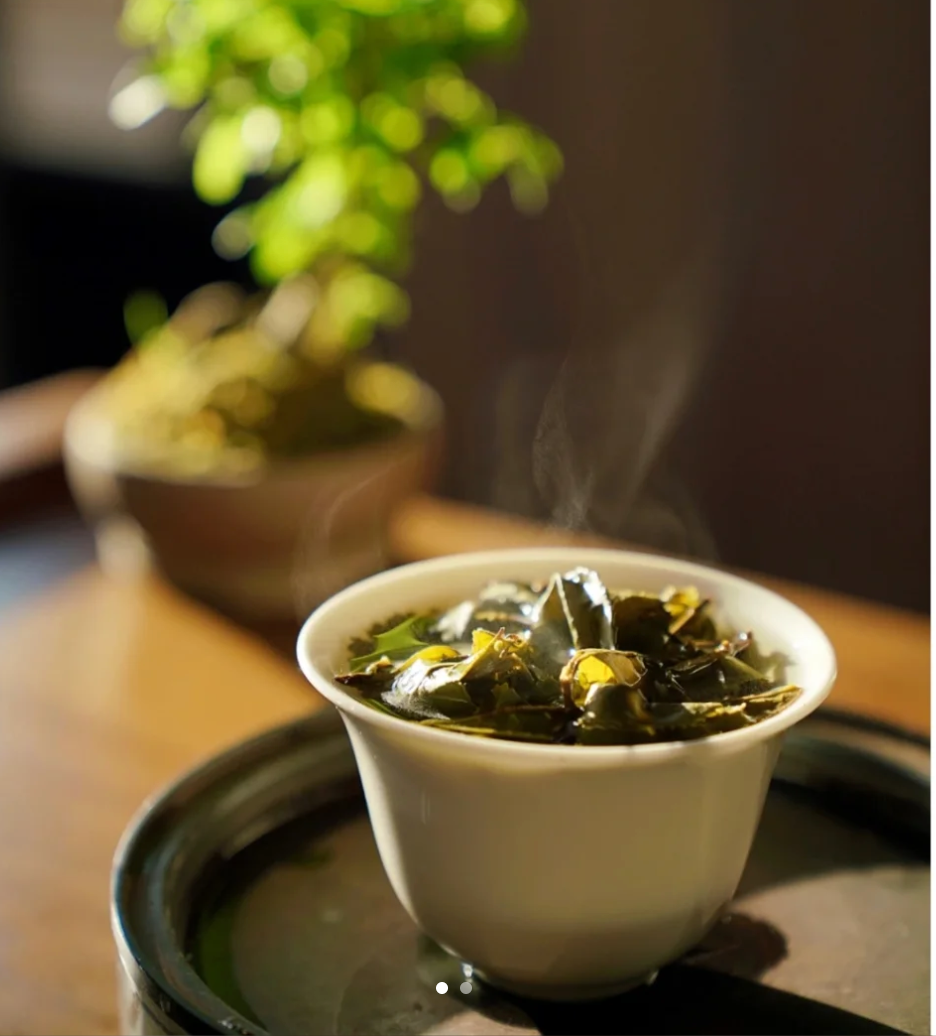 Unlock the Secrets of Oolong: Exploring Tea Place's Premium Offerings