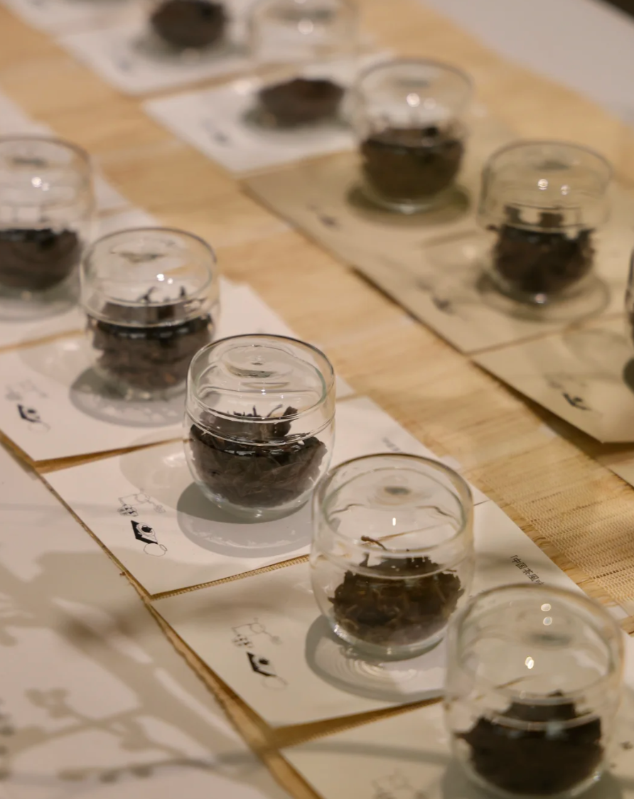 Six Major Types of Chinese Tea Tasting Course (2 hours/Class）